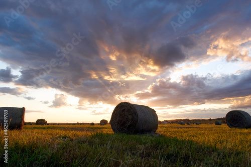 A field with haystacks on a summer or early autumn evening with a cloudy sky in the background. Procurement of animal feed in agriculture. Rural nature in the farmland. Straw and bales on the field. 