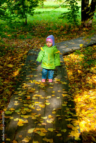 little child walking in autumn forest © Anastasia