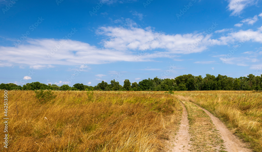 Long road in a dry field. A green forest is visible in the distance. Beautiful sky with white clouds. Summer landscape