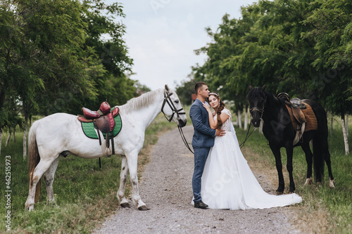 A young groom in a suit and a beautiful bride in a white long dress are hugging, standing on a country road, in a village in nature with white and black horses. Wedding photography.