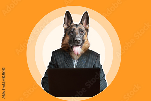 German shepherd dog using l...