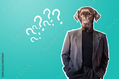 Question marks around a man...