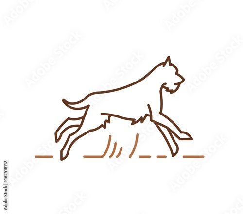 Schnauzer dog silhouette, outline hand drawn contour vector illustration for veterinary logo, petshop advertising design