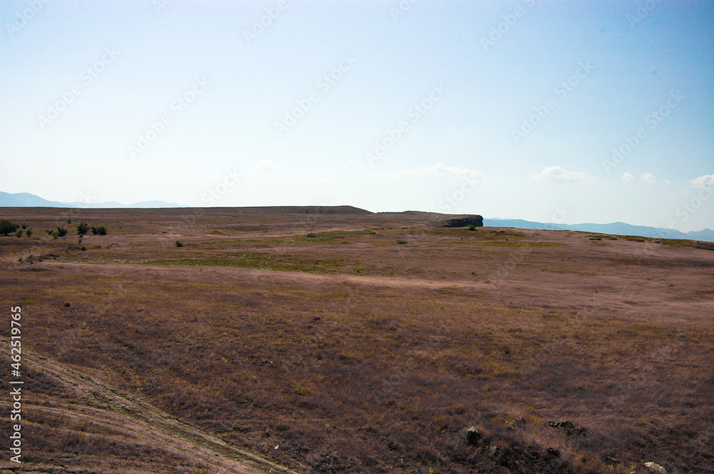 Obraz premium landscape with a field and sky