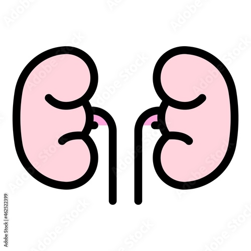 Renal kidney icon. Outline renal kidney vector icon color flat isolated