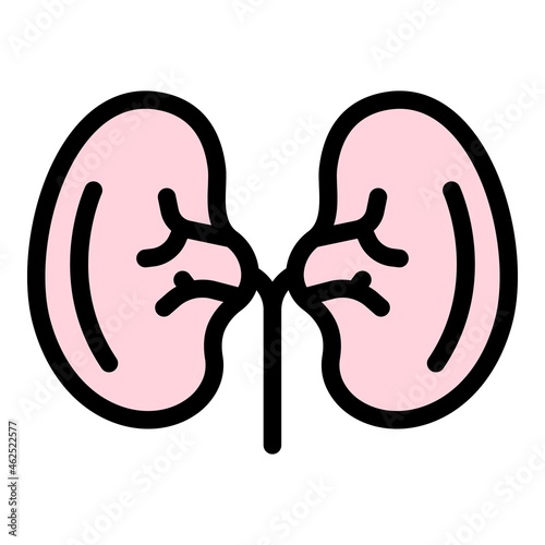 Adrenal kidney icon. Outline adrenal kidney vector icon color flat isolated