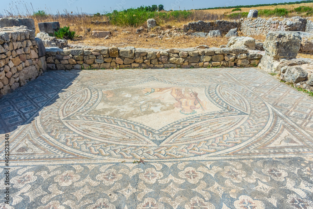 Roman mosaics in Volubilis, morocco