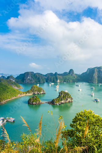 Obraz na płótnie Ha Long Bay landscape, Vietnam w salonie