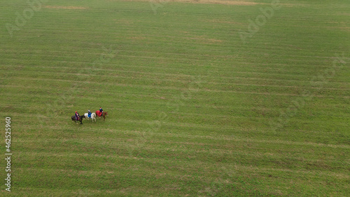 Aerial view of group of fox hunters on the horses in the autumn field. Equestrian riding sport in a countryside.