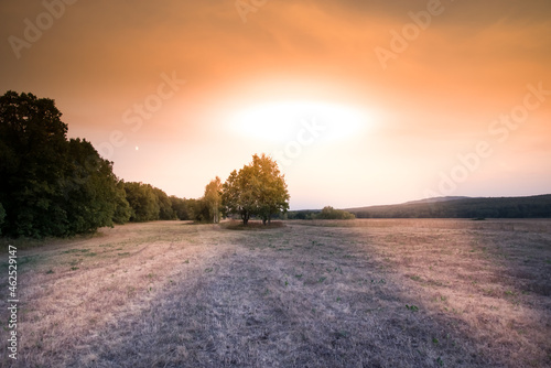 The sun sets behind the forest in the field.