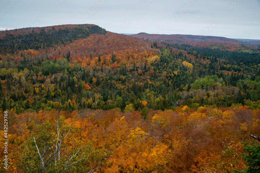 Spectacular fall color in the Superior National forest.