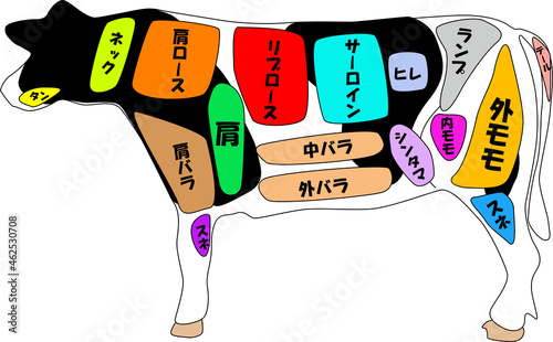 牛の部位のイラスト素材