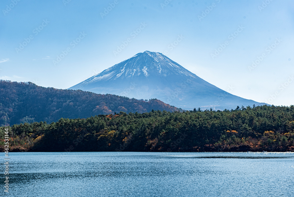 Fuji mountain peak with Blue Sky Background at Lake Saiko, Japan Fuji mountain peak with Blue Sky Background at Lake Saiko, Japan