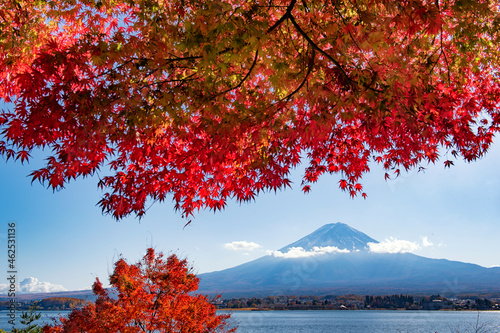 Fuji Mountain with Red Maple Leaves in Autumn at Kawaguchiko Lake, Japan