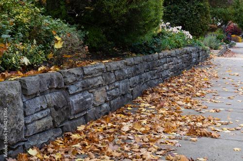 Well maintained rusticated stone retaining wall beside a sidewalk, yellow and brown autumn leaf littter, horizontal aspect