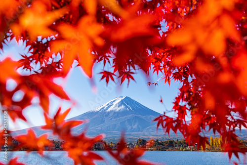 Fuji mountain in the frame of Red Maple Leaves in Autumn at Kawaguchiko Lake, Japan