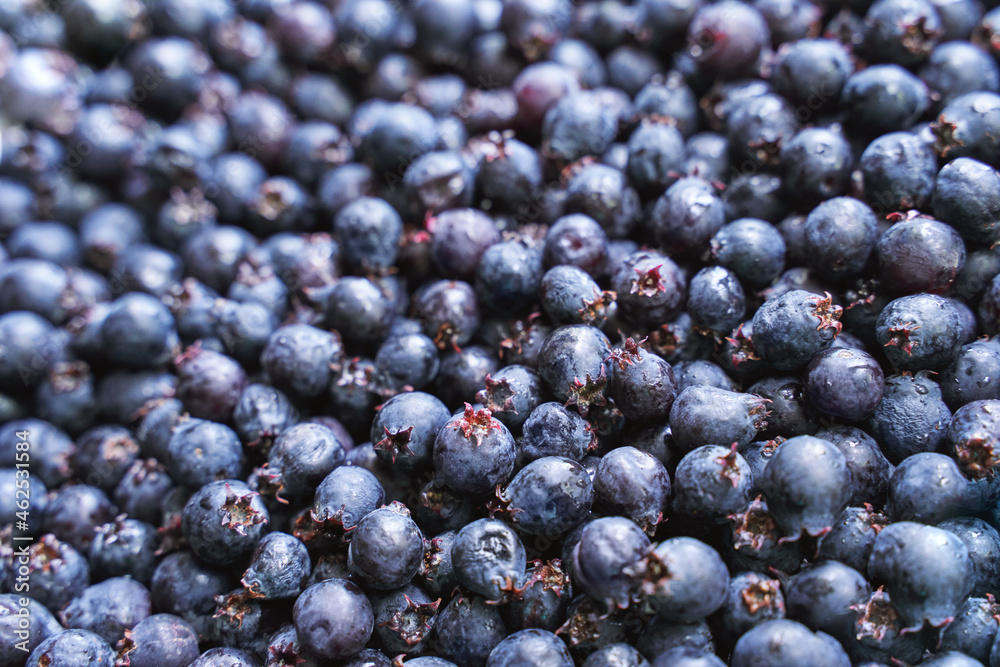 Garden purple berry. Shadberry. Nature breakfast vegan ingredient. Fresh summer food. Round sweet texture
