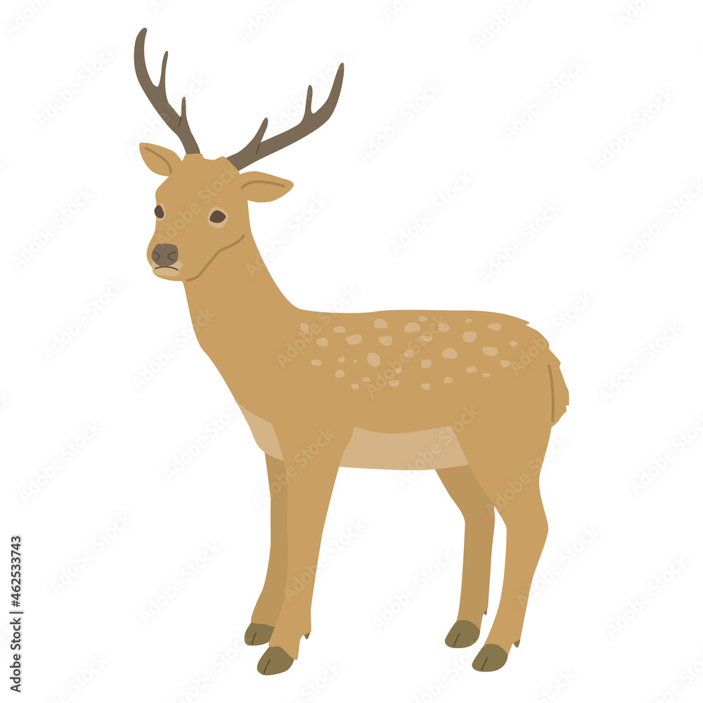 鹿のイラスト 鹿のイラスト