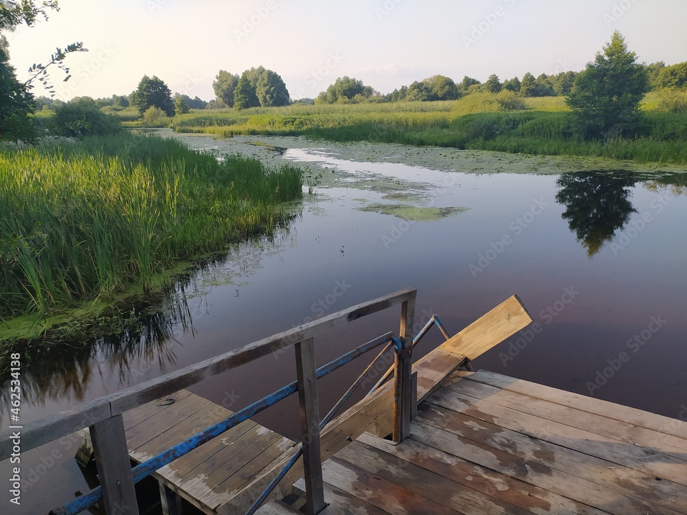 lake in the park