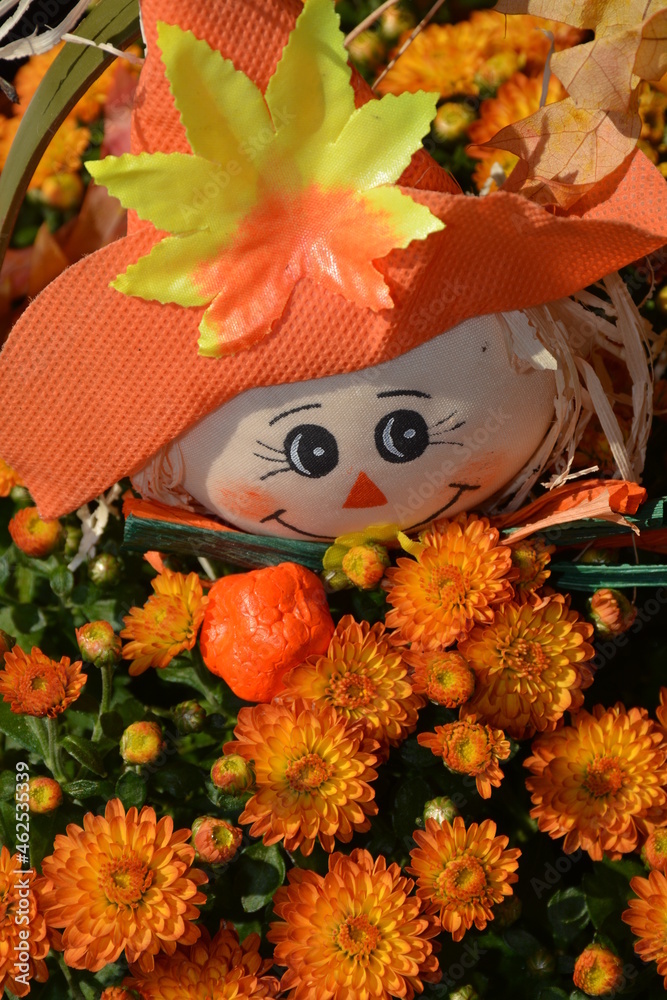Cute raggedy anne doll  peeking out of autumn flowers display