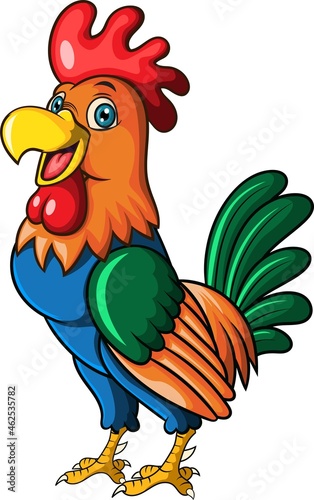 Cartoon funny rooster on white background