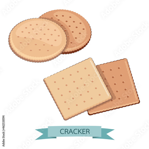 Delicious Salty Cookies Rustic. Cracker chocolate shape round and square healthy snack. Biscuit crispy delicious for breakfast. Design vector illustration template for shop.