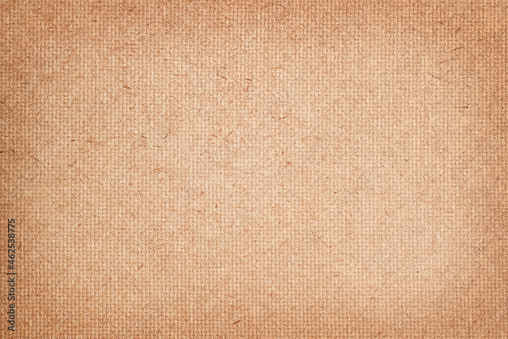 Fototapeta premium Pressed beige chipboard texture. Wooden background