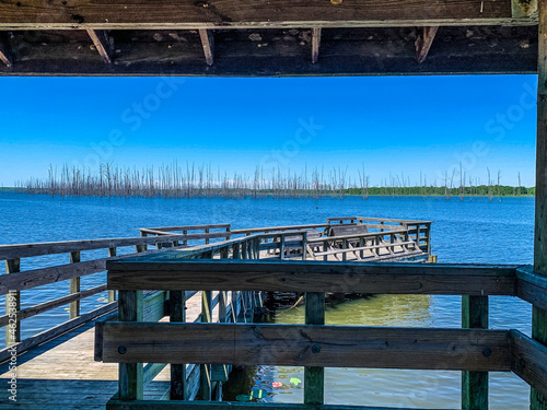 view of Cane Creek Lake in Arkansas