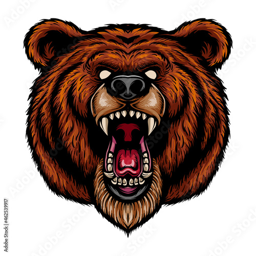 Cartoon scary bear head mascot