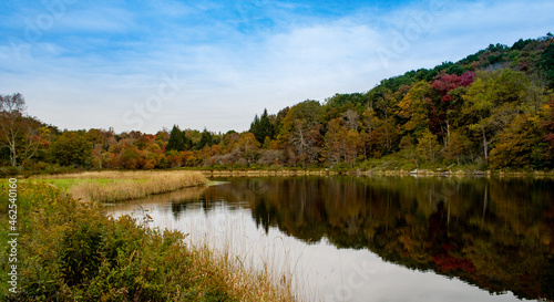 Pond surrounded by forested hill and grassy marsh, as leaves take on Autumn colors. Reflection of trees in the water and blue sky with wispy clouds above. Catskill Mountains, New York State, USA.