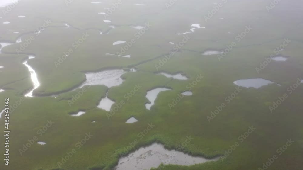 Fog drifts over an extensive salt marsh in Pleasant Bay, Cape Cod, Massachusetts. This type of wetland habitat is vital feeding grounds for migrating birds, fish, and many marine invertebrates. Fog drifts over an extensive salt marsh in Pleasant Bay, Cape Cod, Massachusetts. This type of wetland habitat is vital feeding grounds for migrating birds, fish, and many marine invertebrates.