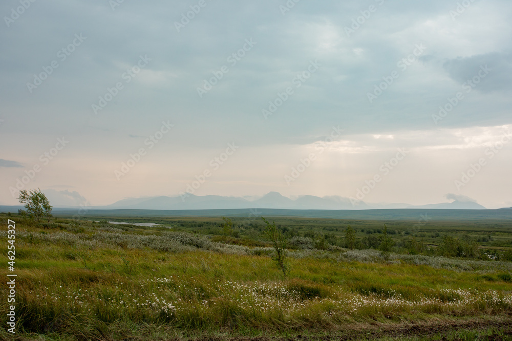 A distant wild plateau in the arctic tundra. Against the background of the distant outlines of the mountains, a cloudy day.