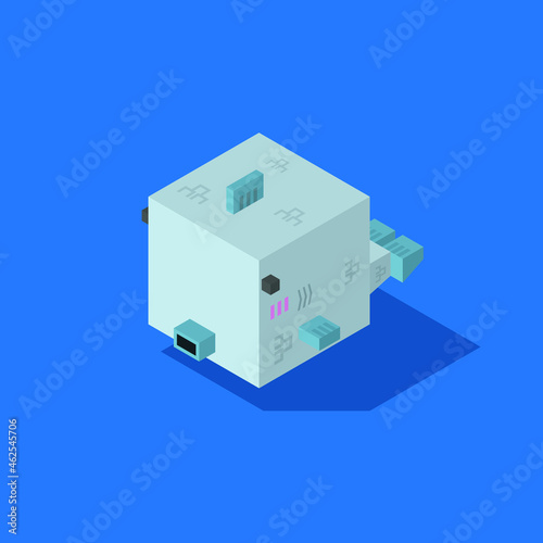 fish cubic isometric