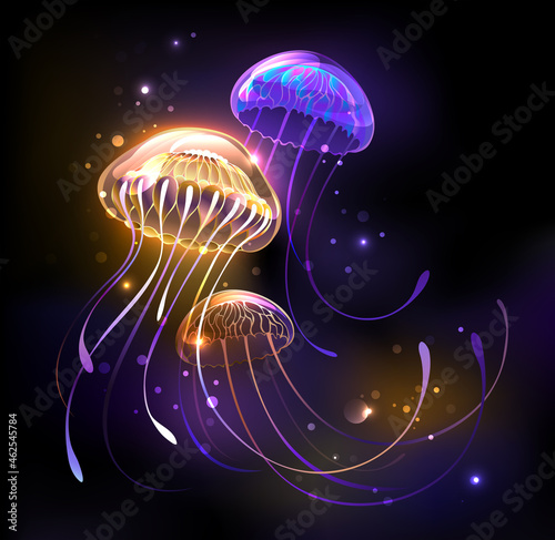 Three glowing jellyfish