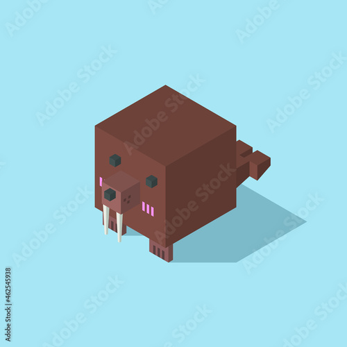 walrus cubic isometric
