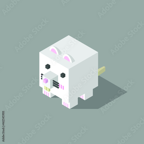 white mouse cubic isometric
