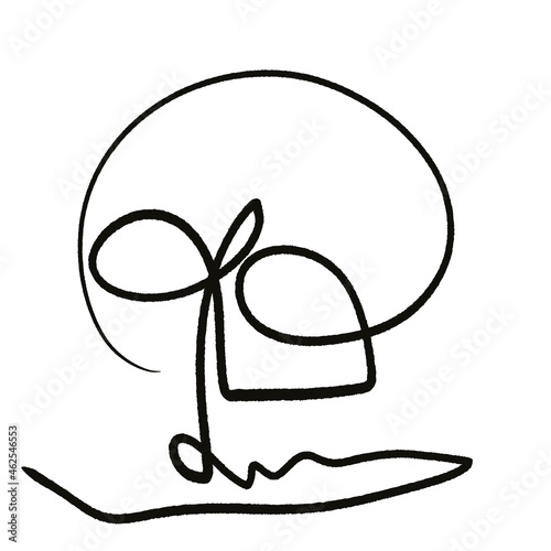 Fotografi skull