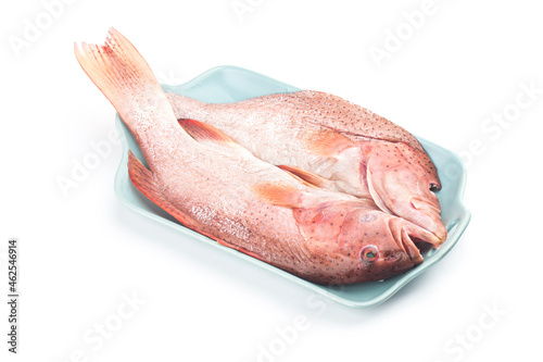 Grouper to be steamed，Grouper fish isolated on white background