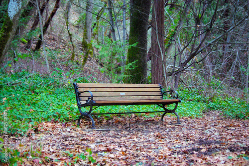 bench in the park