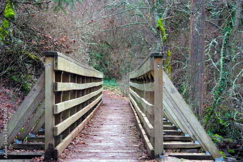 wooden bridge in the park