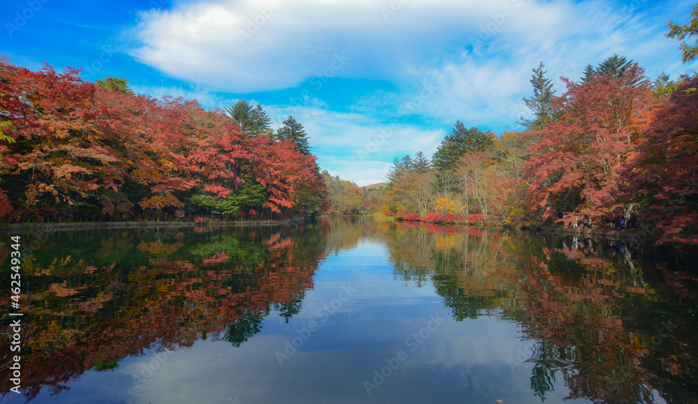 Beautiful lake view in autumn