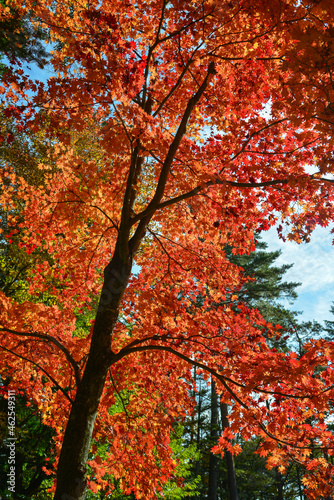 Beautiful countryside scene in autumn