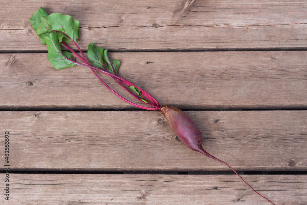 young beetroot fruits with green tops on wooden background young beetroot fruits with green tops on wooden background