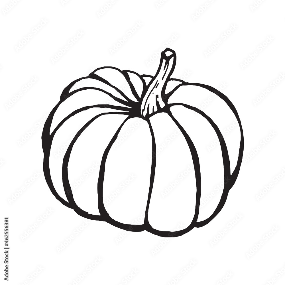 Outline pumpkin drawing Outline pumpkin drawing