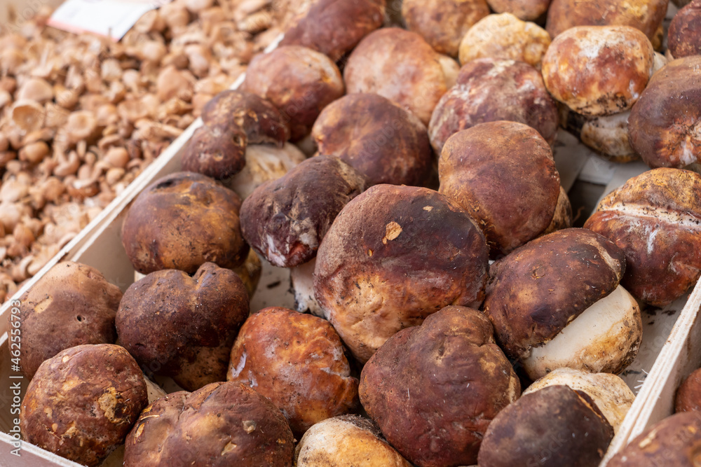 mushrooms at the market place, France mushrooms at the market place, France