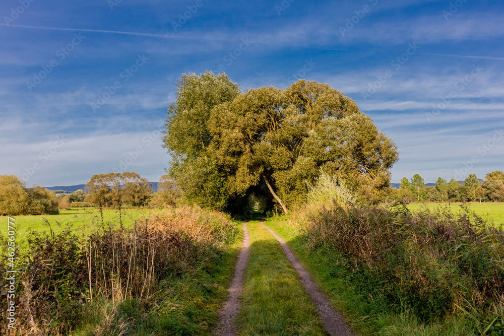 Fototapeta premium Ein Tag am See im herbstlichen Kleid bei Breitungen - Thüringen