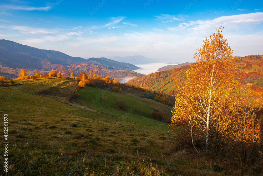 carpathian rural autumn landscape in the morning. mist in the distant valley. trees in colorful foliage on the hills. sunny weather with clouds on the sky carpathian rural autumn landscape in the morning. mist in the distant valley. trees in colorful foliage on the hills. sunny weather with clouds on the sky