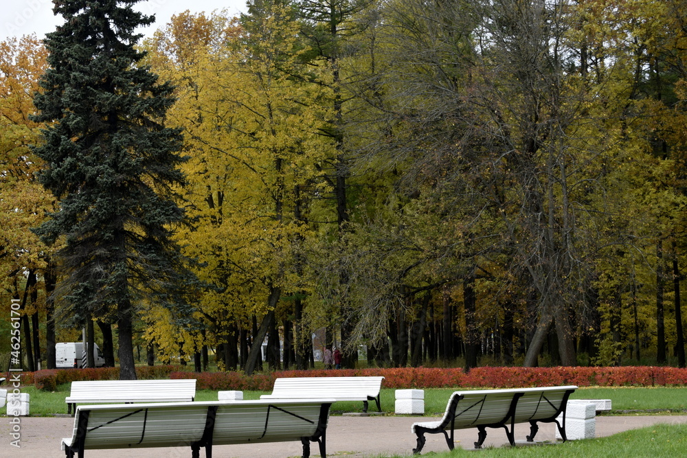 bench in the park bench in the park