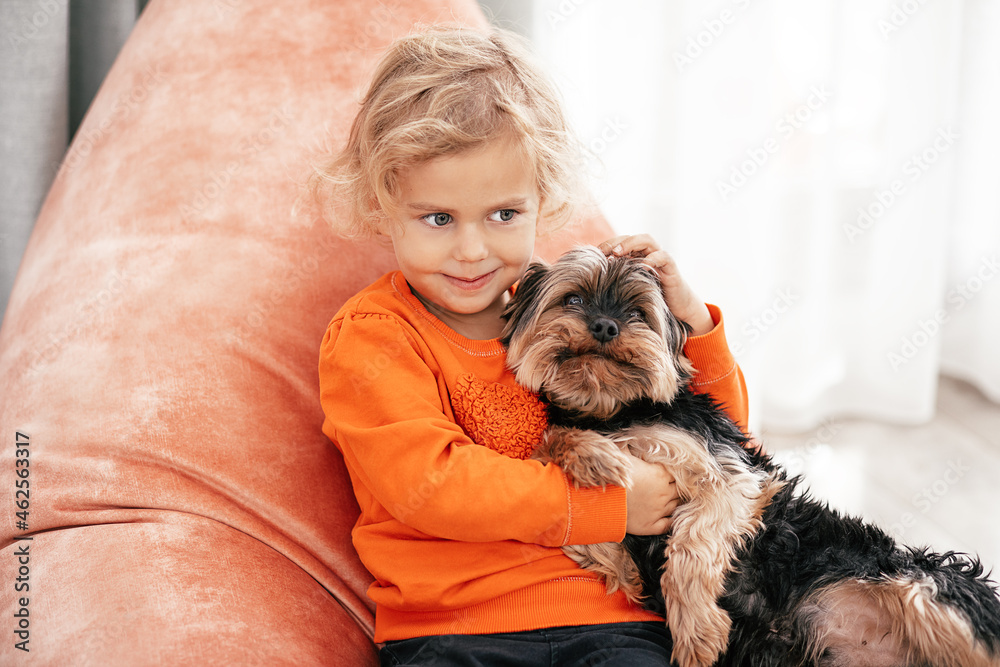 portrait of pretty little girl sitting on orange chair with dog in her arms looking at side and smiling portrait of pretty little girl sitting on orange chair with dog in her arms looking at side and smiling