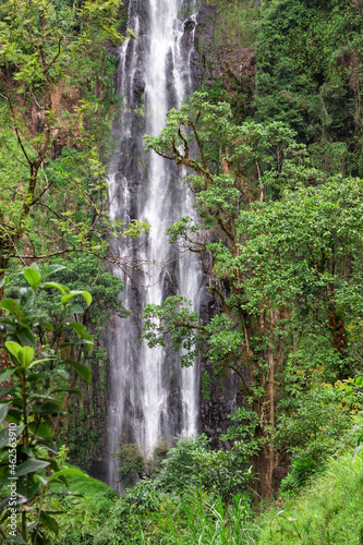 waterfall in the forest